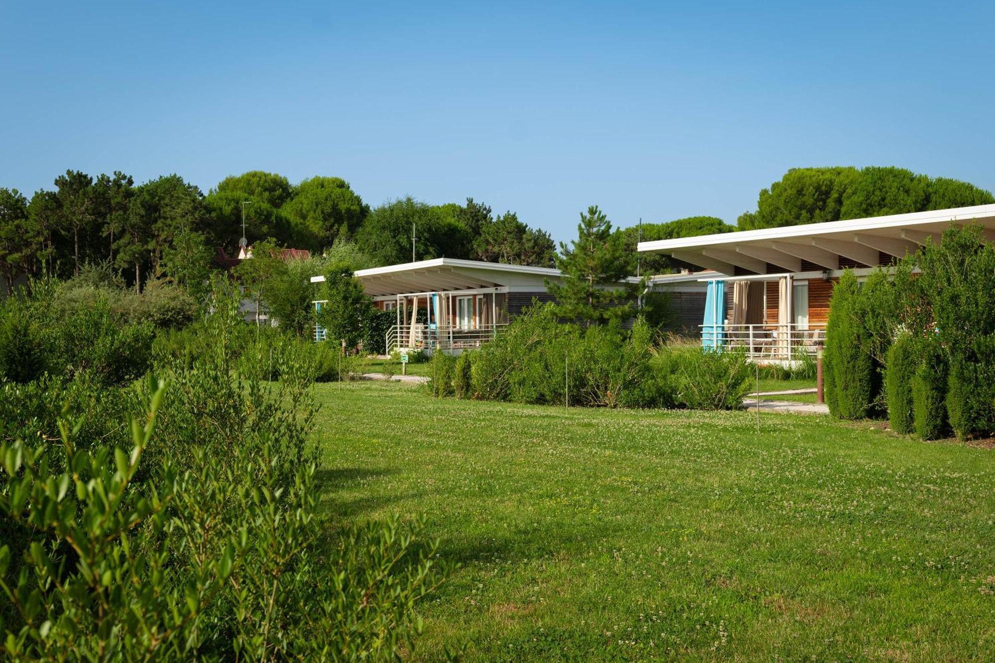 Lino Delle Fate Eco